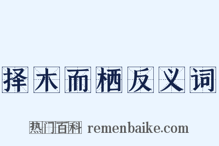 择木而栖反义词是什么意思的图片